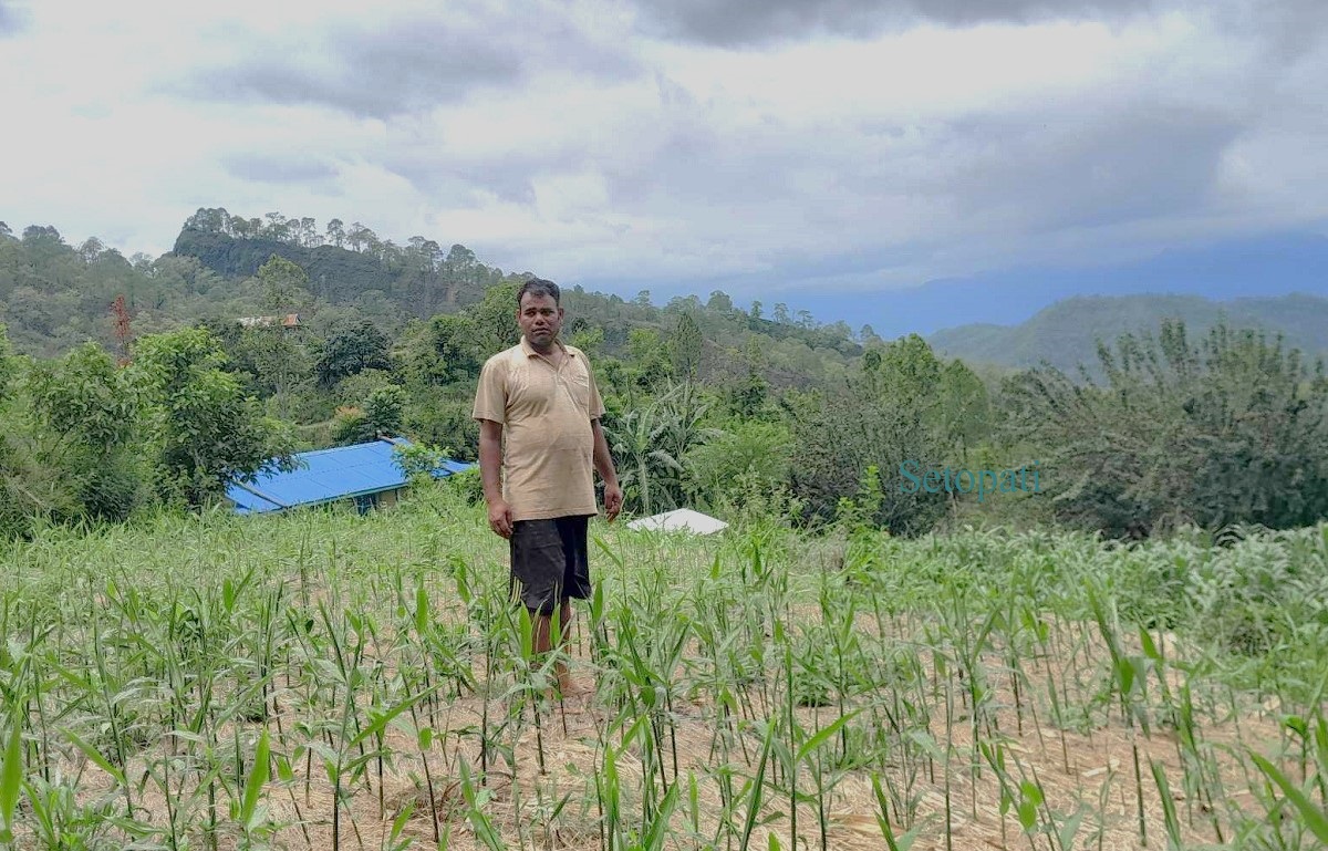 नैनसिंह खड्का आफ्नो बारीमा। तस्बिरः दिपकजंग शाही/सेतोपाटी